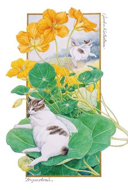 #崧，东方美##绘画#长着翅膀的花间猫｜中岛祥子 ​​​