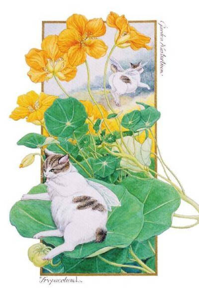 #崧，东方美##绘画#长着翅膀的花间猫｜中岛祥子 ​​​