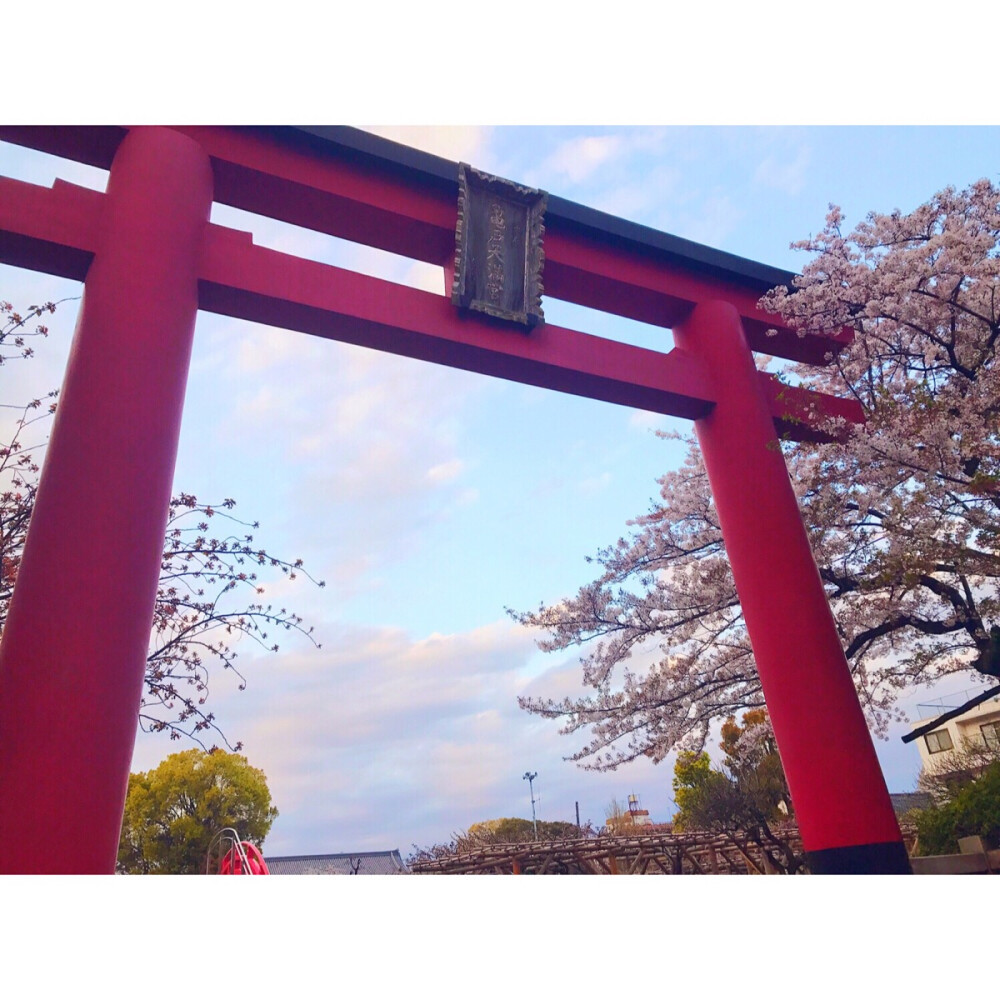 神社⛩️