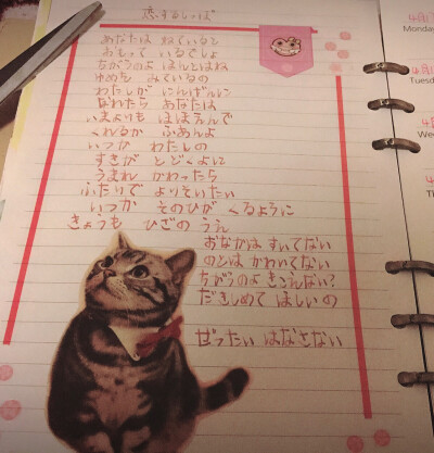 高中的时候喜欢的一首歌，手嶌葵 恋爱的尾巴，一直忘了叫什么名字 今天终于找回来了