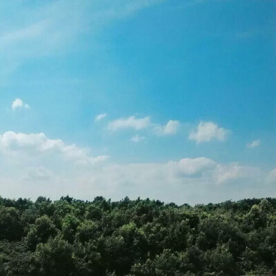 人文楼处望见的蓝天