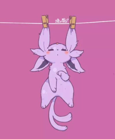 pokemon 伊貝 火伊貝 水伊貝 葉伊貝月伊貝 太陽伊貝 仙子伊貝 雷伊貝