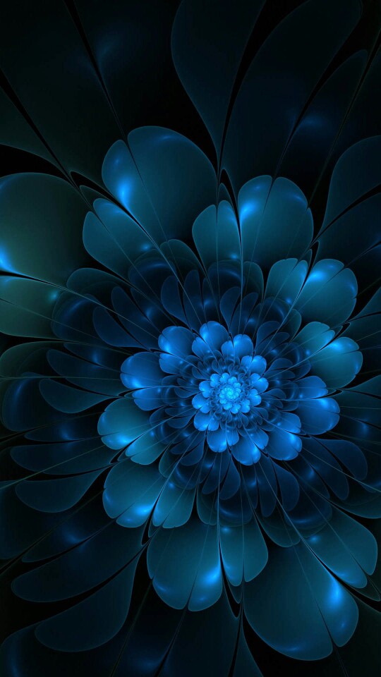 抽象画花朵壁纸蓝黑另类美
