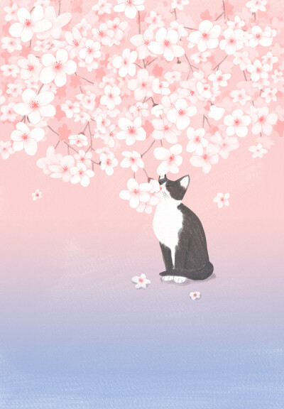 樱花与猫