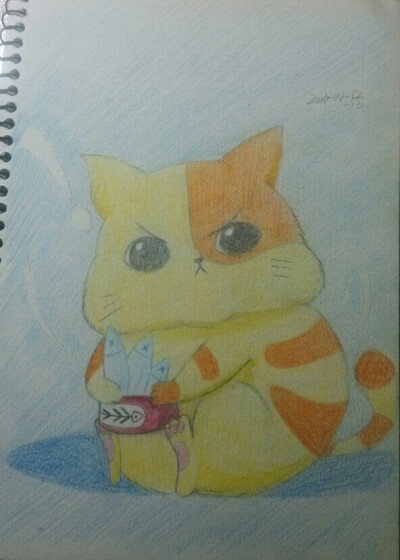 胖猫咪萌彩铅