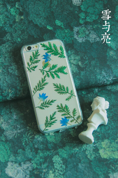 雪与亮苹果iphone手工干花永生花滴胶手机壳真花-雨林之旅