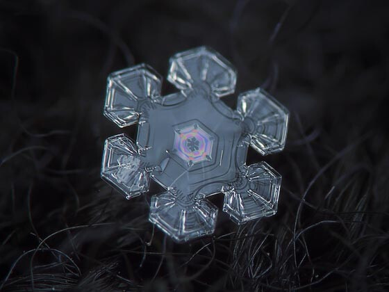 雪花❉