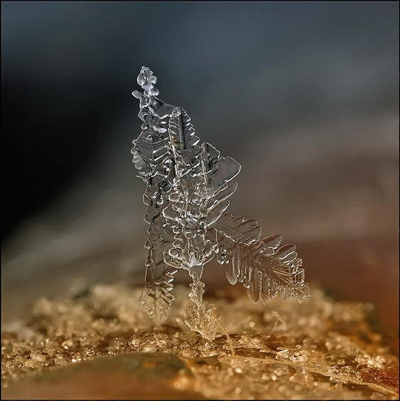 雪花❉