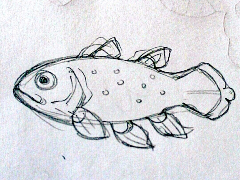 腔棘鱼日推shidoya