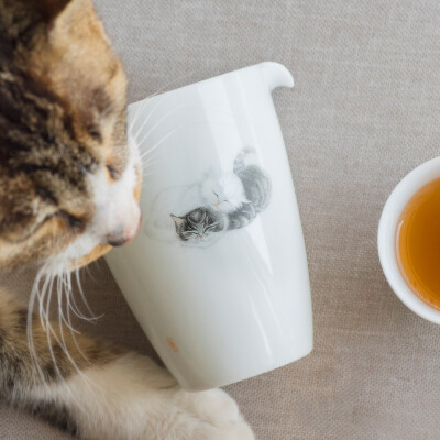 来自铲屎君的礼物&middot;景德镇弄子里手绘猫公道杯茶海功夫茶具配件