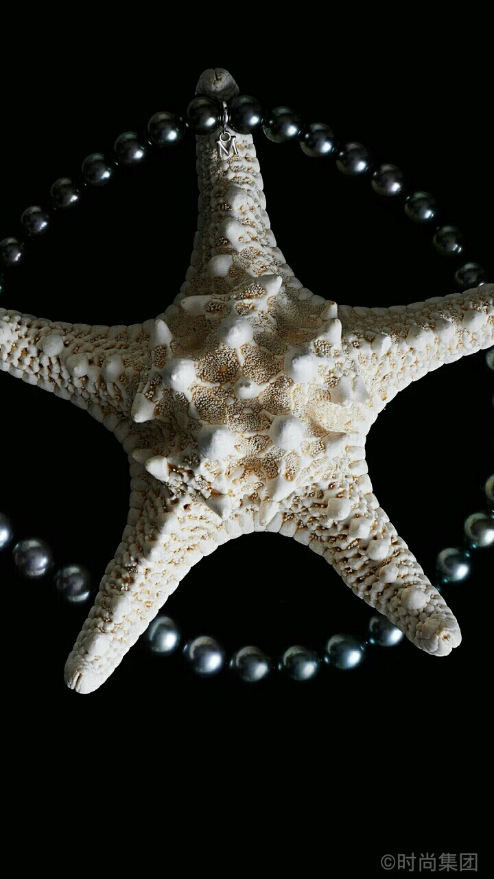 海底珠萃
星沉海底当窗见，雨过河源隔座看。——李商隐《碧城三首》©芭莎珠宝