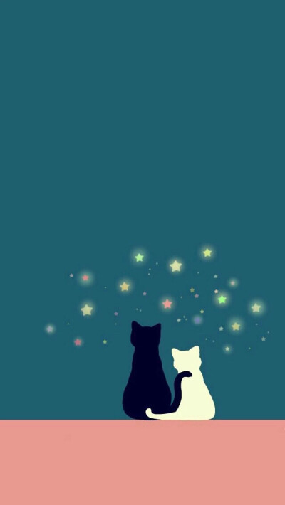 猫咪