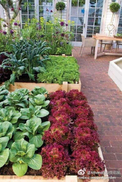如果想拥有一个小而整洁的蔬菜花园，那么建议采用抬高的种植床。 ​​​