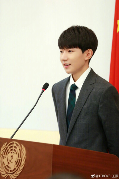 tfboys王源 联合国