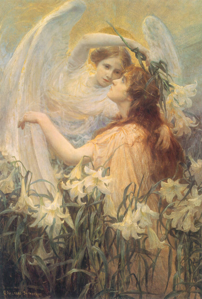 百合花天使- 高清图片，堆糖，美图壁纸兴趣社区