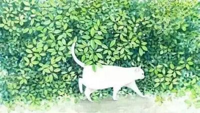 猫背景