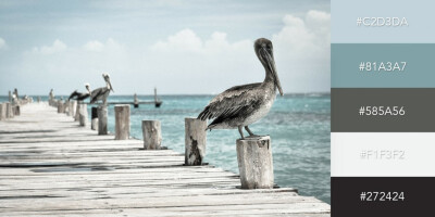 On the Dock of the Bay
海岸色调与暗灰色、白色搭配营造出清爽而宁静的海湾景象，唤起“潮起潮落”的记忆。from visme