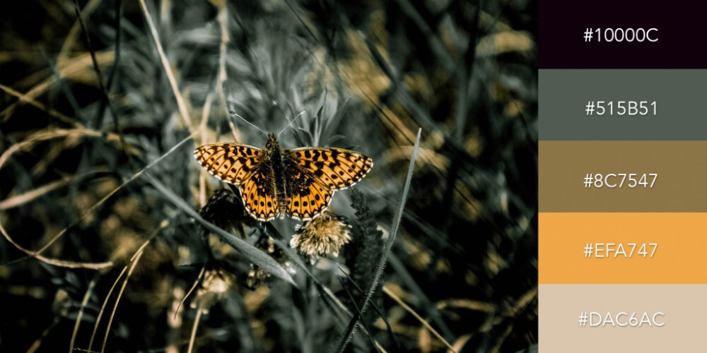 Black and Bright Orange
一系列黄色与黑色、暗灰绿色组合形成高对比的视觉效果。from visme