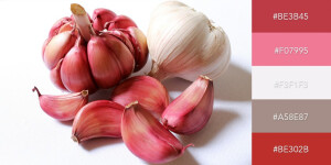 Purple Garlic
强烈的红色与浅褐色、浅紫红色搭配带有辛辣质感。from visme