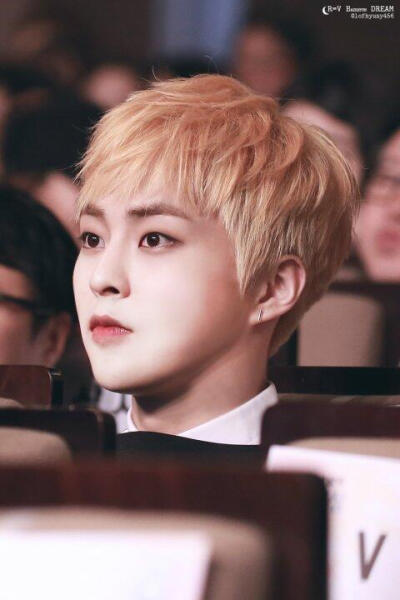 Xiumin 金珉锡 김민석 EXO
cr.logo