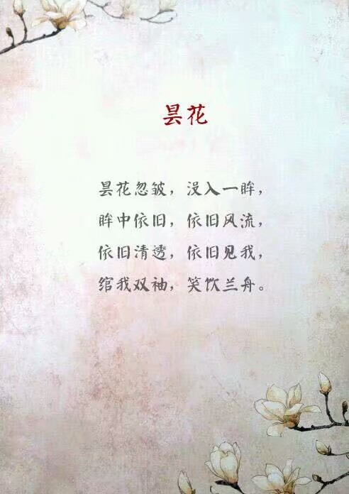 奈何情浅. 昙花 古风 文字 唯美 治愈 壁纸 花语 浪漫