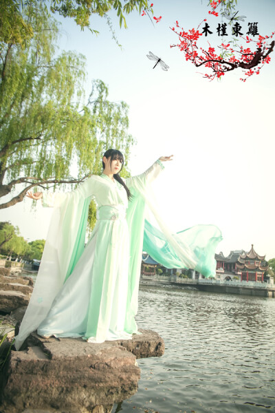 【木槿东篱】三生三世 白浅 素素 姜沉鱼 COSPLAY 古装