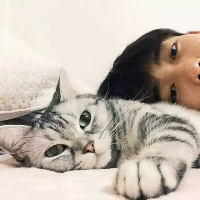 男头猫情侣