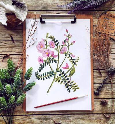 清新水彩画 花卉 图案 seedlingpaperie