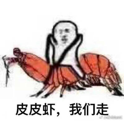 皮皮虾，我们走