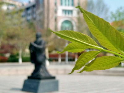 海大孔子像