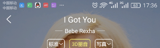 Bebe Rexha-l Got You