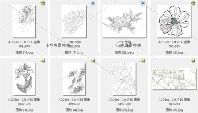 复古花卉植物线稿花草树木水彩画漫画绘画手绘素描临摹素材9