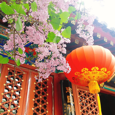 芭蕉不展丁香结