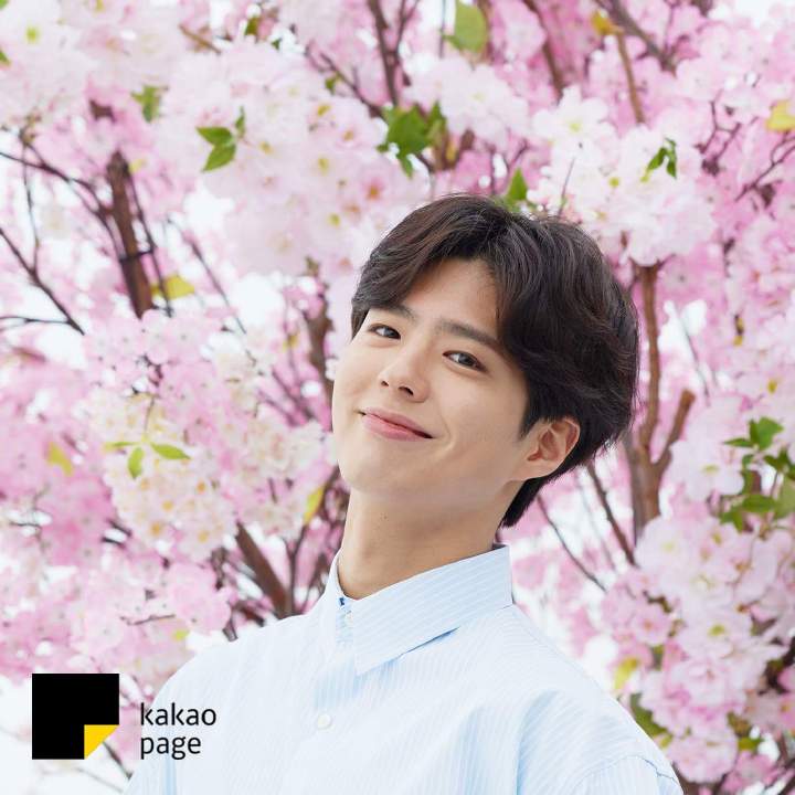 kakaopage 新更 樱花男人和爱情~ 朴宝剑 头像 手机壁纸