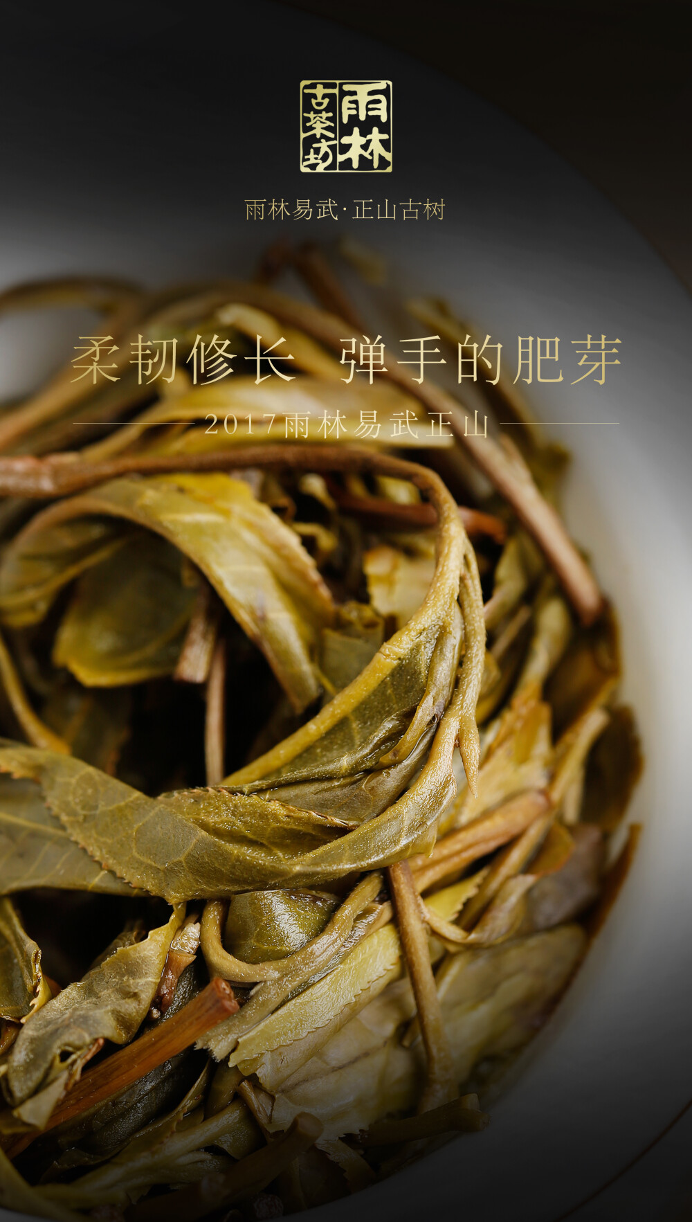 新道设计作品 易武正山 古树普洱茶 包装设计 茶叶海报