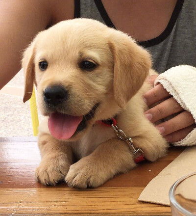 假忙碌，真焦虑