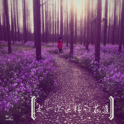 走一次这样的花径