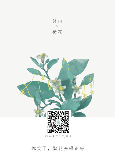 谷雨x橙花：你笑了，繁花开得正好