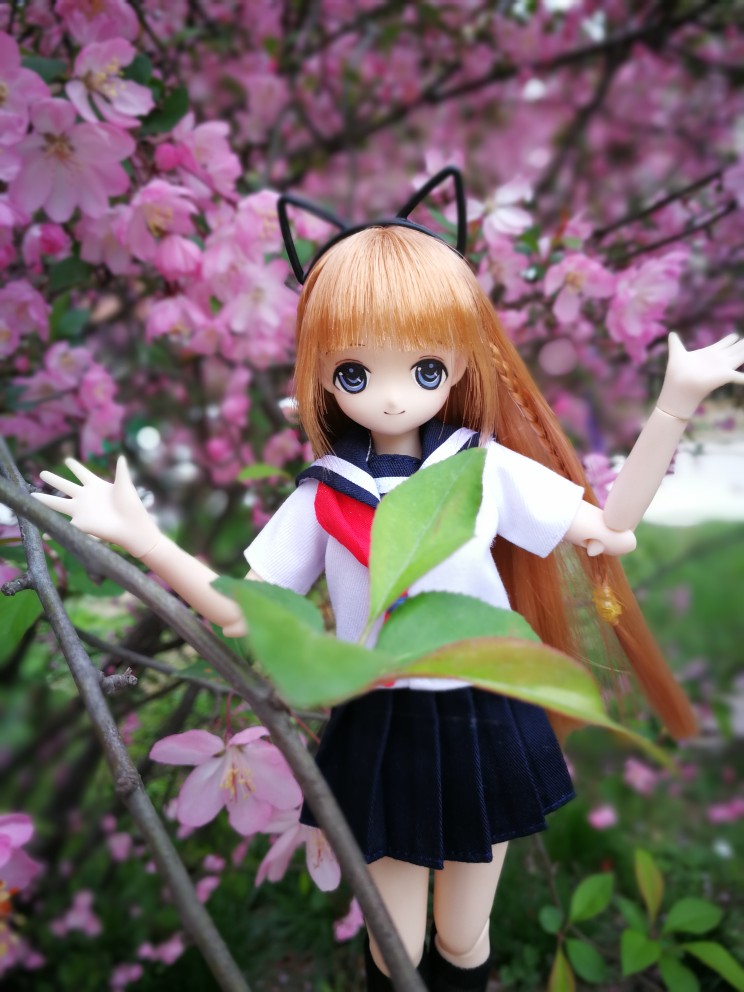 azone az娃娃 水手服 小花