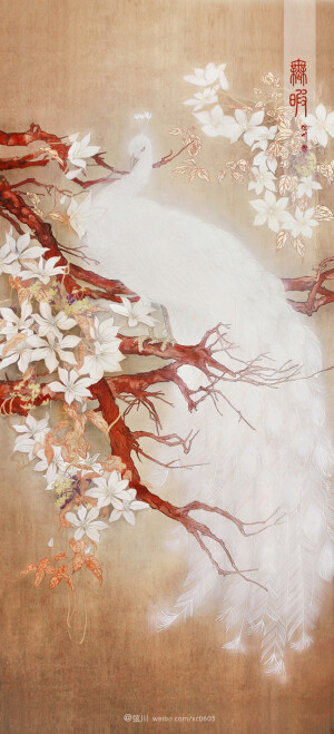 孔雀 弦川 封面 国风 岩彩 插画