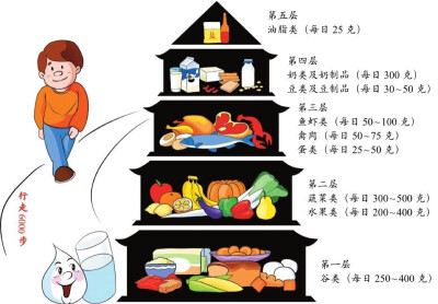 膳食寶塔