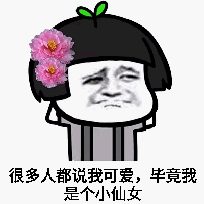 小仙女专用包