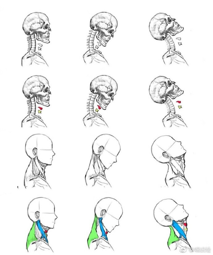 关于头部角度画法的小教程，这个真的很有用！赶紧收起来吧，转需！#设计小课堂# ​​​​