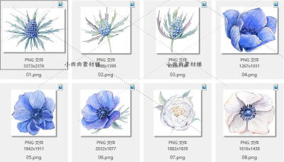 手绘春天母亲节蓝色素雅花朵婚庆请柬花环PNG免抠设计素材png181