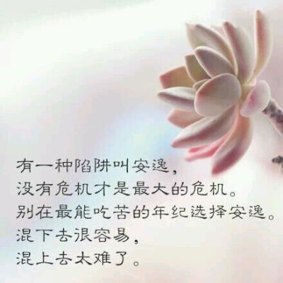 安逸 陷阱