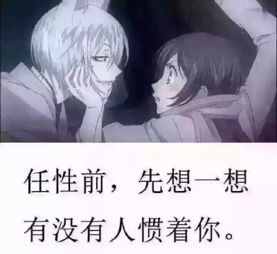 宠