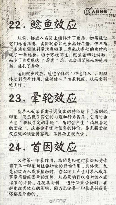 鲶鱼效应，晕轮效应，首因效应