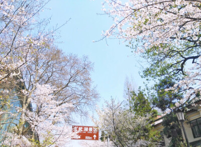 南京