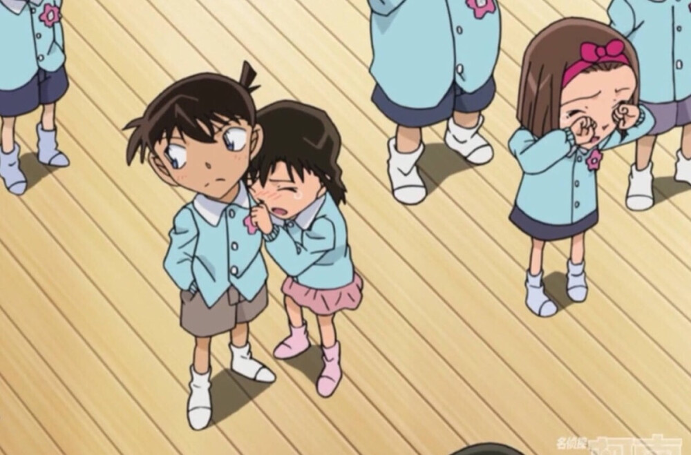 圆子是单身狗哈哈哈哈哈哈哈