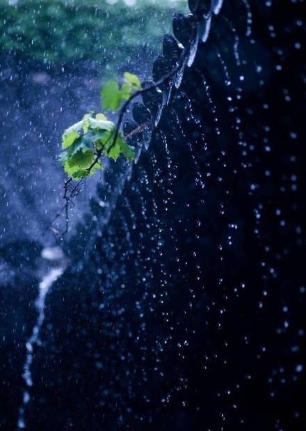 一蓑烟雨任平生 ​​​